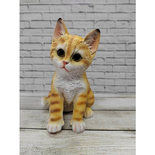 ���� ������ ������� 