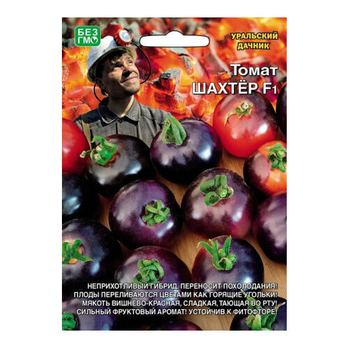 ���� ������ ����� ������ 12�� ����� (��������� ������) ������ ������