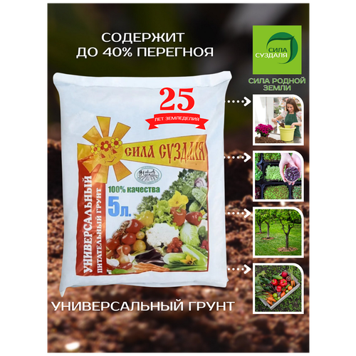 ���� ����� ���� ������� �������������, 5 �, 3 �� ������ ������