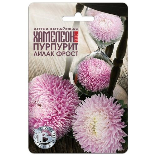 ���� ������ ����� ��������� �������� SELECT �������� ����� �����