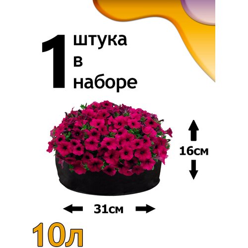 ���� ������ ���� 10� - 1�� ������ ������