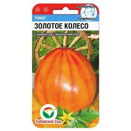 ���� ������ ����� ������� ������ 20�� ����� (��������� ���) ������ ������