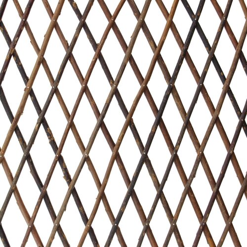 ���� ������� ������������ ������ ������