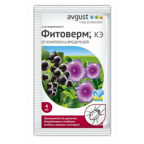 ���� �������� ������ �� ��������� ���������� ��� ����, �������� (������ 4 ��) ������ ������