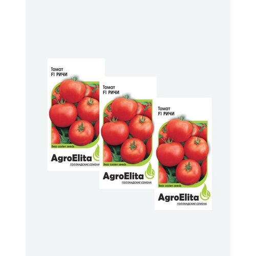     F1, 10, AgroElita, Bejo(3 )   -     , -, 