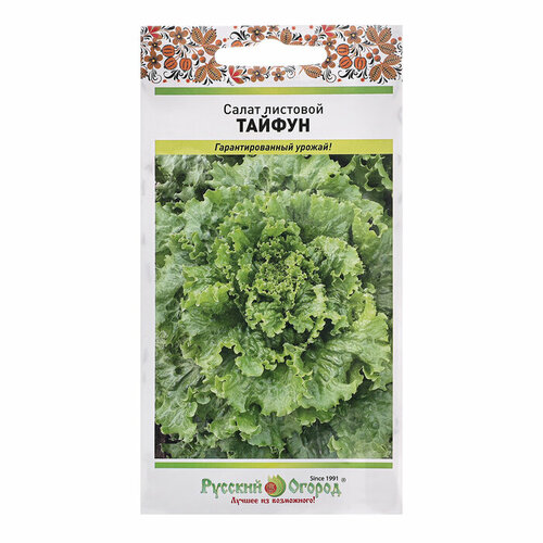 ���� ������ ����� ������ �������� 1� (������� ������) ������ ������