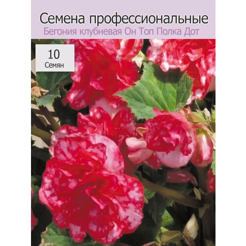 ���� ������� ��������� �� ��� ����� ��� ������ ������