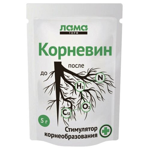 ���� ���������� ����� ������ �������� ���� ���� 5� ������ ������