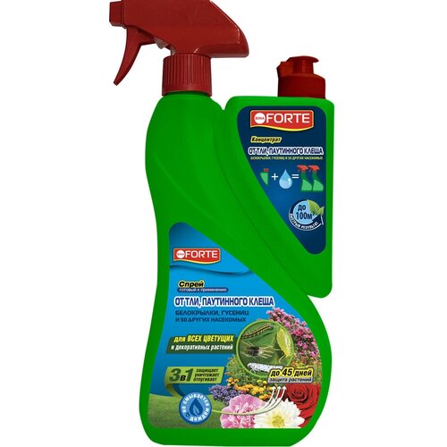 ���� Bona Forte ����� + ���������� �� ���, ���������� ����� � ������ 50 ����� �����, ������ 750 �� + 250 ������ ������