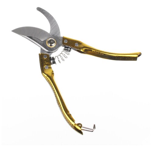 ���� INBLOOM ������� �������, 21��, � �������������� ��������, ����� 65� ������ ������