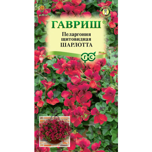 ���� ������, ���������� ��������, ��������� 3 ������ ������ ������