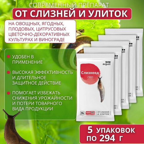 ���� �������� ��� �������� �� ������� � ������ 5 �������� �� 294 � ������ ������