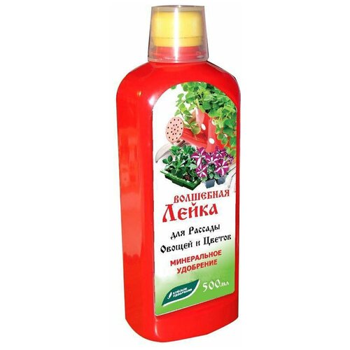 ���� ��������� ������� ��������� ��������� ����� ��� ������� ������ � ������, 0.5 �, 500 �, 1 ��. ������ ������