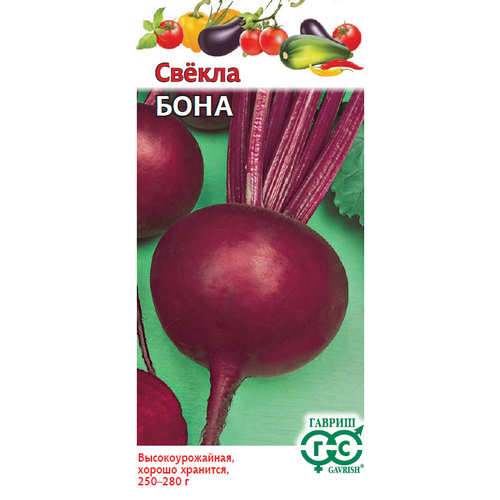 ���� ������ ������ ���� 2� �������� (������) ������ ������