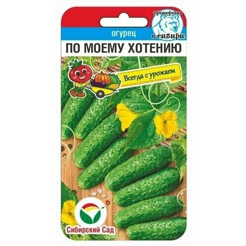 ���� ������ ������ ���� 