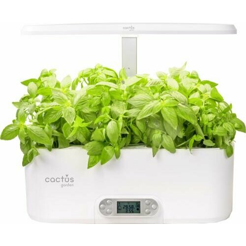 ���� ����������� ���������� ������� ��� ������������ Cactus Garden 4.7�, ���� ����� ������ ������