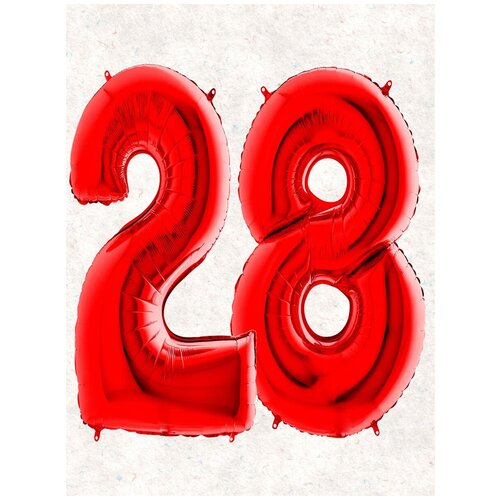 ���� ����� �����: ����� 28 ���, 100 �� ������ ������