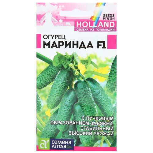 ���� ������ ������ 