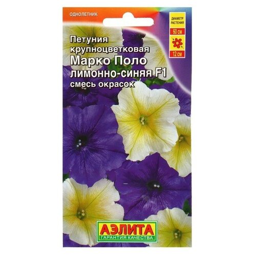 ���� ������ ������� 