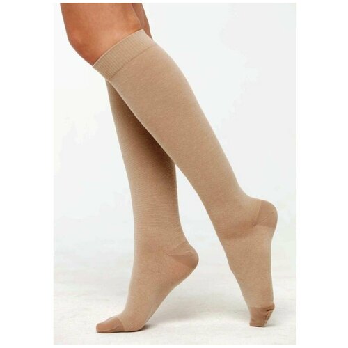 ���� ����� �������������� �� ������ � �������� ������ 2 ����� ����������, ��������, ������ 2 ������ ������