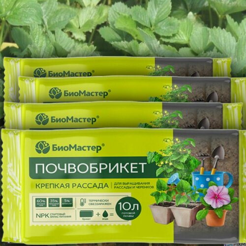 ���� 40� ����������� ������� ������� 10 �. � 4�� ����� ��� ����������� ������� ������ ������