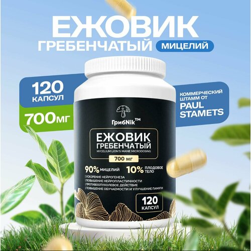 ���� ������ ����������� Lions Mane ������� ������� 120�� 700�� ������ ������