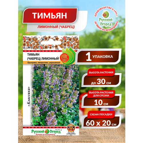 ���� ������. ������ (������) 