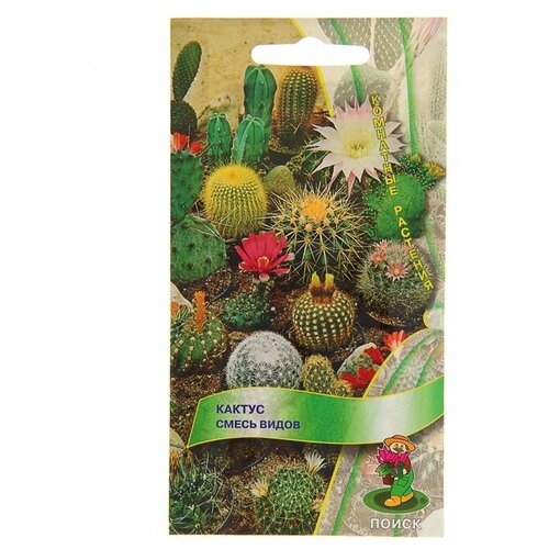 ���� ������ ����� �����, ������ ����� 0,1� ������ ������