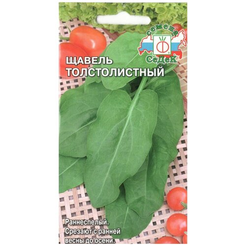 ���� ������ ����� ������ ������������� ������ ������