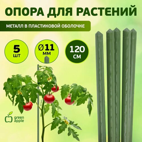  Green Apple GCSP-11-120 GREEN APPLE     120 ? 11 ( 5 )  