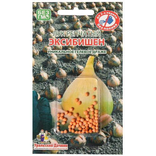 ���� ������ ��������� ������ ��� �������� ����������, 40 �� ������ ������