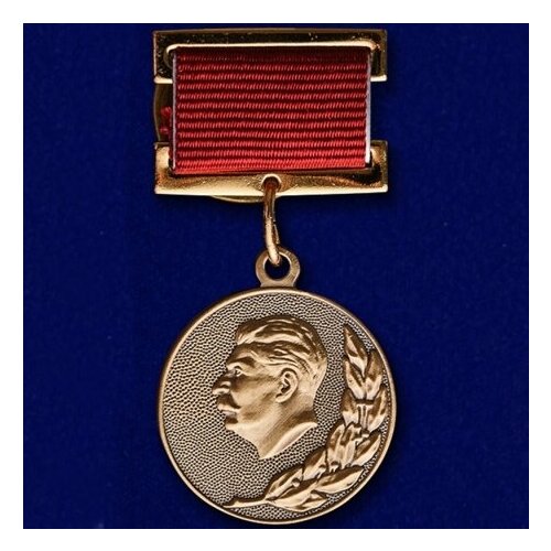 ���� �������� ���� 