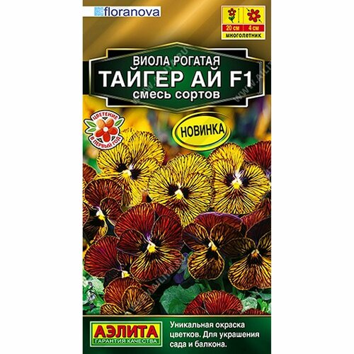 ���� ������ ����� ������ �� F1, ����� ������, �����������, (������) 5�� ������� ����� ������ ������