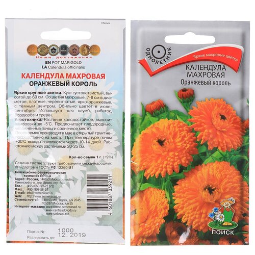 ���� ������ ��������� ��������, ��������� ������, 1 �, ������� ��������, ����� ������ ������