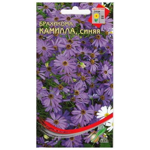 ���� ��������� ������� �����, 150 ����� ������ ������