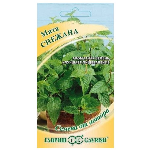 ���� ������. ���� 