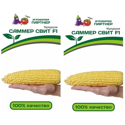 ���� ������ �������� ������ ���� F1 /��������� �������/ 2 �������� �� 3 � ����� ������ ������