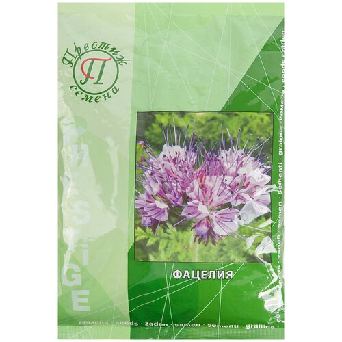 ���� ������� 500 � ������ ������