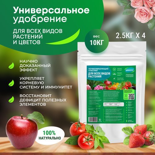 ���� ����� ������������� ������������ �������� ��������� ��������� ��� �������� 10�� ������ ������