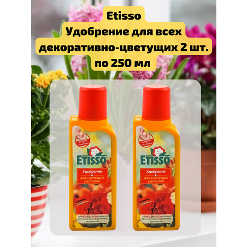 ���� �������� 2 ��. ��������� ������ ��� ����� �������� ��������� � ��������� ��������, 250 ��. Etisso ������ ������