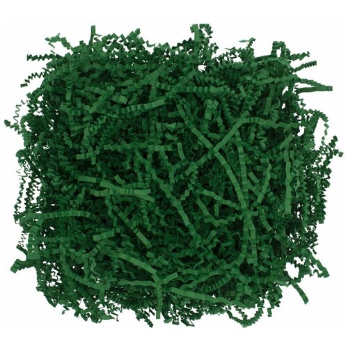 ���� �������� ����������� ��� �������� ������� ����� Chip ���������� ������ ������