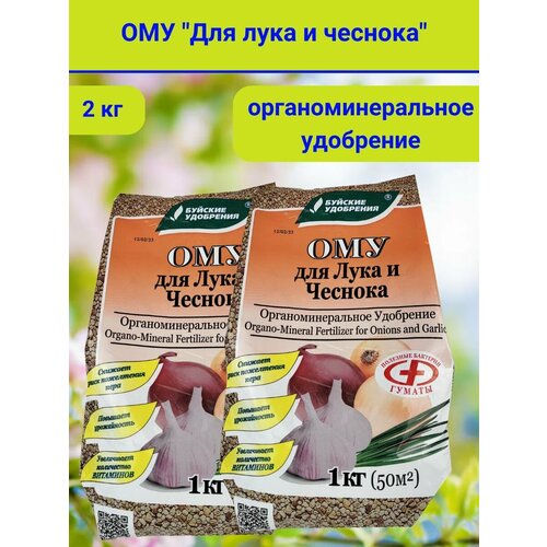 ���� 2�� ��� ��� ����, ������ 1�� -2�� ����������� ����������������� ��������� ������ ������