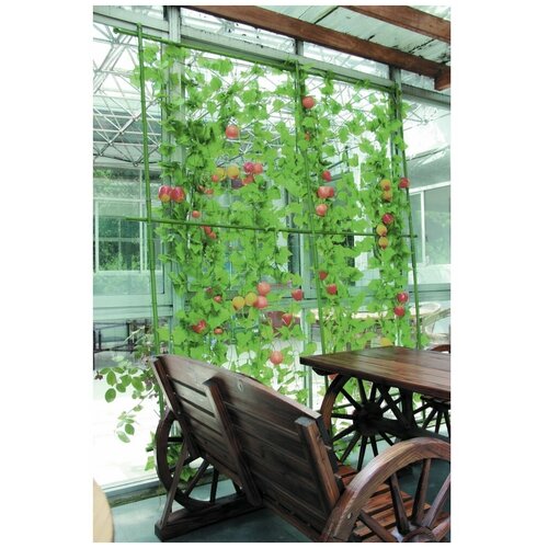 ���� ����� ��� ���������2.1� ������ ������