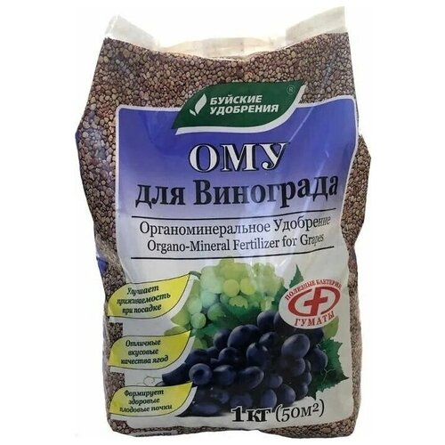 ���� ����������������� ��������� (���) 