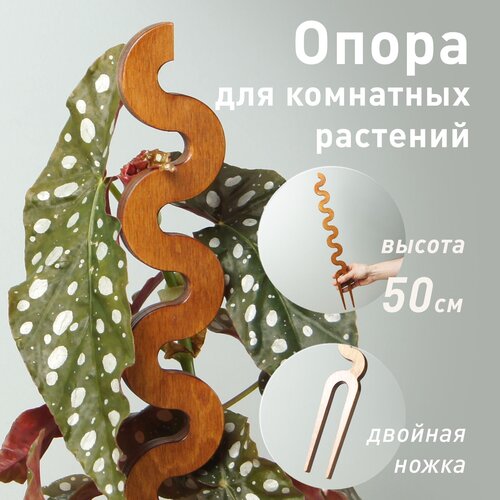 ���� ����� ��� �������� �������� WAVE, ����������, ������ 50 �� ������ ������