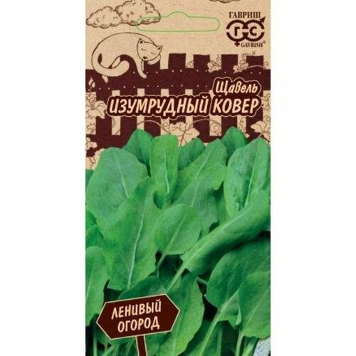 ���� ������ ������ ���������� �����, �����������, (������) 0,2� ������� ������ �20 ������ ������