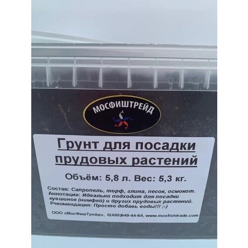 ���� ����� ��� �������� �������� 5,8 �. ������ ������ ������