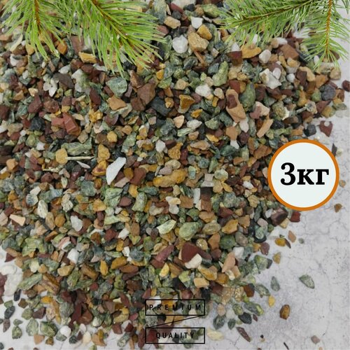 ���� ������������ �����, ������ ������������, 5-10��, 3 �� ������ ������