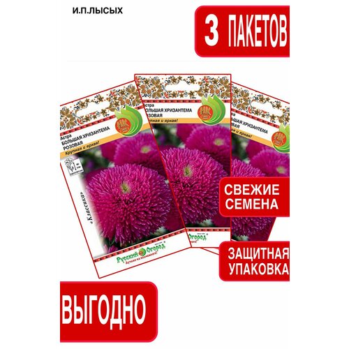 ���� ������ ����� ������� ���������� ������� ������ ������