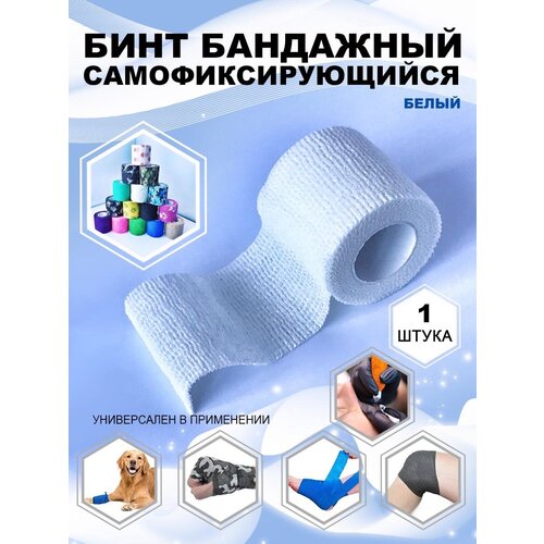 ���� ���� ���������� ���������� ��������� �����������������, 1 �� ������ ������